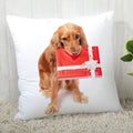 Axyaa Cocker Spaniel Sofa Cushion Cover - Creative and Simple Home Decor