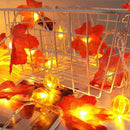 Axyaa Halloween LED Light String: Maple Pumpkin Fairy Garland for Festive Decor