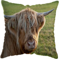 Axyaa Nordic Yak Oxen Highland Cow Cushion Cover for Home Hotel Sofa Bed