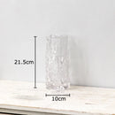 Gradient Glass Vase Hydroponic Flower Pot by Axyaa