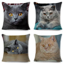Axyaa British Shorthair Russian Blue Cat Cushion Cover - Cute Pet Animal Pillowcase