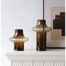 Axyaa Glass Vase: High-end Artistic Flower Arrangement for Living Room