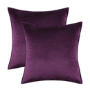 Axyaa Velvet Throw Pillow Cover Set for Sofa Bedroom, Modern Gift Pillowcase