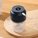 Axyaa Electric Mini Garlic Chopper Stainless Steel Mincer Grinder for Kitchen