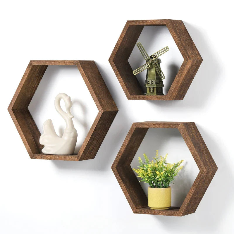 Axya Wooden Hexagonal Succulent Plant Frame Wall Decoration Frame