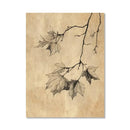 Axyaa Autumn Witch Jack-O-Lantern Canvas Prints for Modern Halloween Home Decor