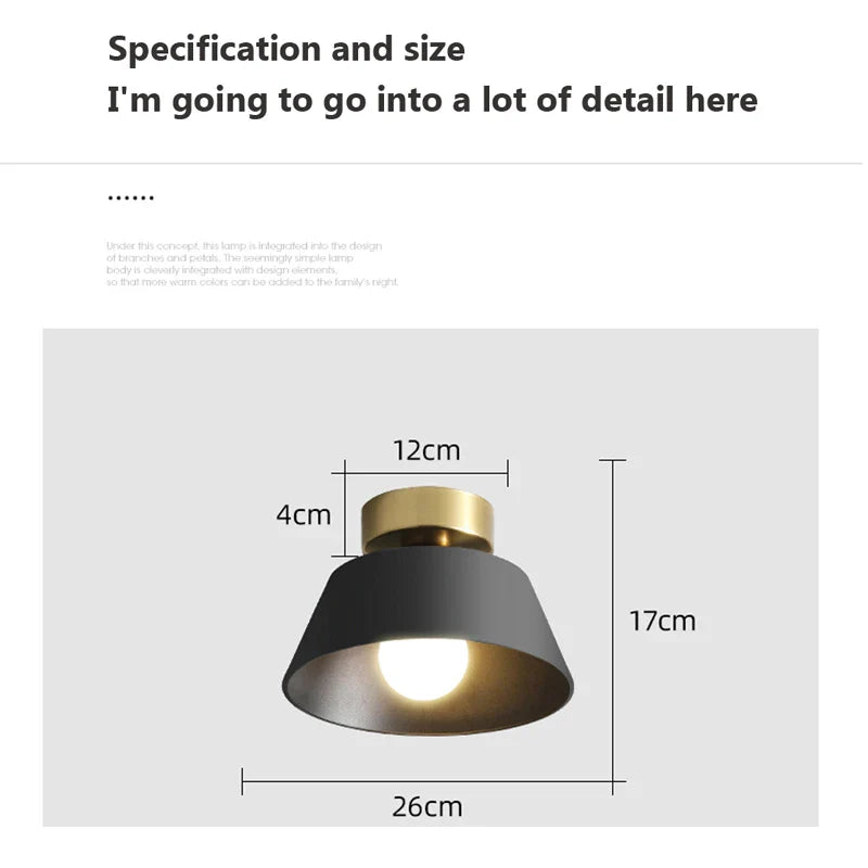 Axyaa Rustic LED Ceiling Lamp for Home Decor and Indoor Lighting