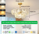 Axyaa Crystal Chandelier: Minimalist Living Room, Bedroom, and Restaurant Lighting
