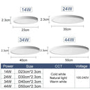 Axyaa Ultra Thin LED Ceiling Lamps for Bedroom & Living Room with Various Light Options