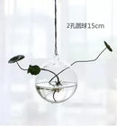 Axyaa Angel Glass Vase for Living Room Decor with Hanging Hydroponic Flowers