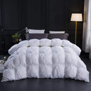 Axyaa King Size Down Comforter, 1200TC Cotton, Premium All Seasons Duvet Insert