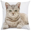 Axyaa Black Cat Bubble Pillow Cases - Premium Animal Cushion Cover for Home Decor