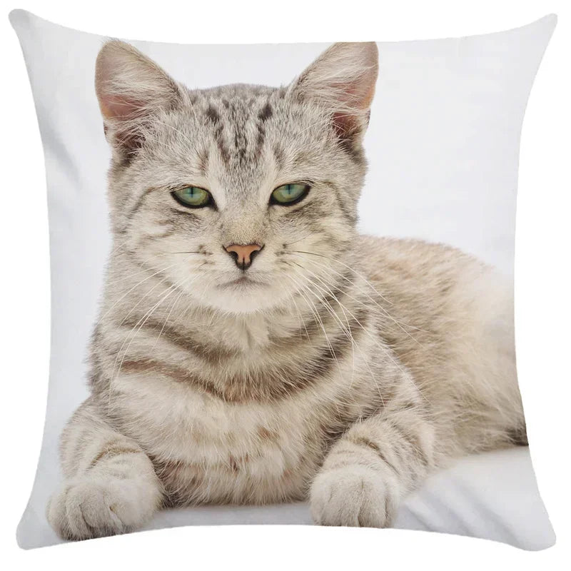 Axyaa Black Cat Bubble Pillow Cases - Premium Animal Cushion Cover for Home Decor