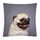 Axyaa Cute Dog Photo Polyester Cushion Cover for Home Sofa Car