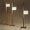 Axyaa Modern Minimalist Black Walnut Adjustable Floor Lamp