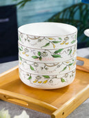 Axyaa Steamed Egg Bowls Set of 2, Microwave Safe Deep Plate Salad Bowls