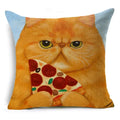 Axyaa Retro Cat Pillow Cover for Sofa Decor, Boho Style Pillowcase
