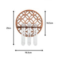 Axyaa Wooden Circle Wall Planters with 3 Test Tubes
