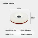Axyaa Acrylic Doughnut Desk Lamp LED Dimmable Table Light