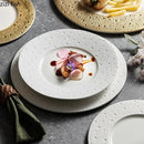 Axya Meteor Shower Dinner Plate Set - Elegant Ceramic Tableware Plate