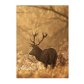 Nordic Forest Wildlife Wall Art Print by Axyaa
