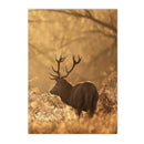 Nordic Forest Wildlife Wall Art Print by Axyaa