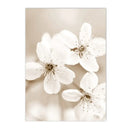 Peony Rose Dandelion Botanical Flower Canvas Art Print - Axyaa Nordic Wall Poster Art