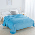 Axyaa Super Soft Reversible Mink Fleece Throw Blanket Twin Queen Size