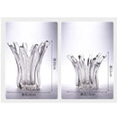 Axyaa Petal Shape Glass Vase for Flower Arrangement and Hydroponics