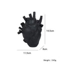 Anatomical Heart Vase Collectible Decor with Custom Engraving by Axyaa