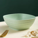 Axyaa Wheat Straw Fruit Bowl Soup Salad Rice Microwavable Safe Tableware