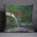 Axyaa Bamboo Forest Pillow Cover Series for Home Office Bedroom Sofa Car