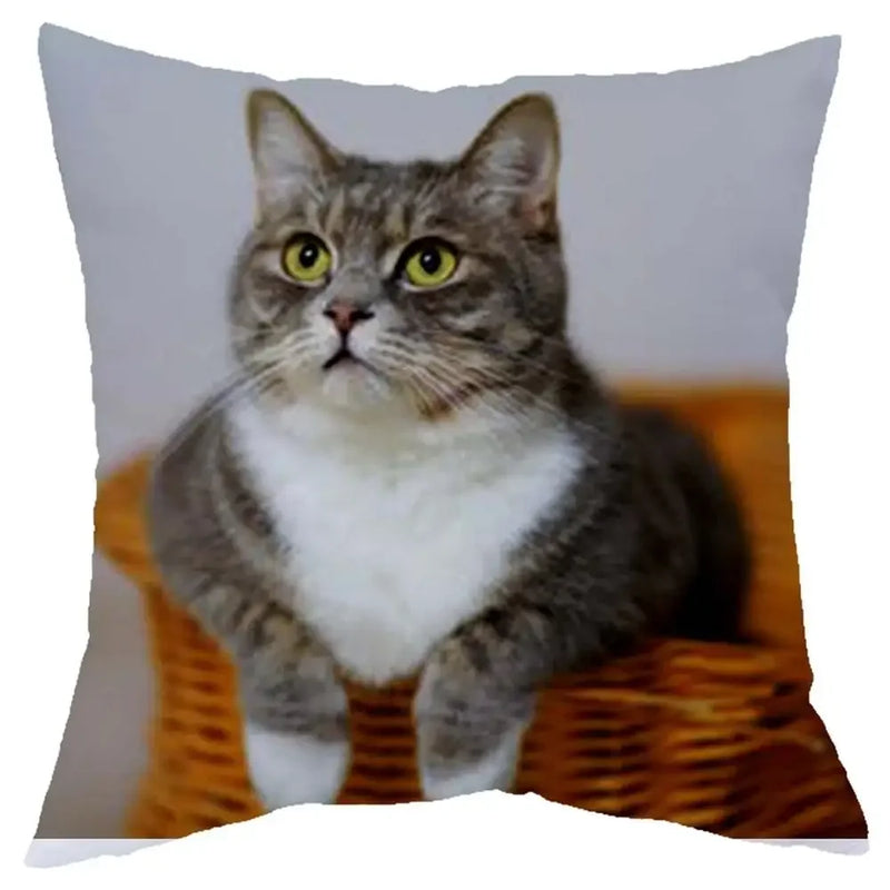 Axyaa Cat Design Sofa Cushion Cover 45x45cm