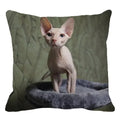 Cute Axyaa Sphinx Cat Cushion Cover 45X45cm - Home Sofa Decoration Pillowcase