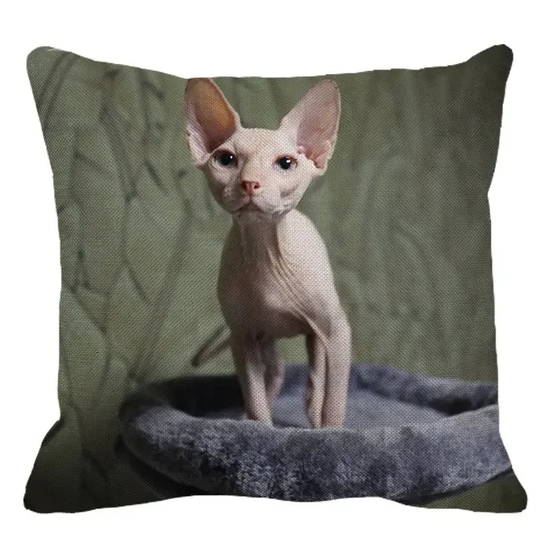 Cute Axyaa Sphinx Cat Cushion Cover 45X45cm - Home Sofa Decoration Pillowcase