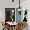 Axyaa Nordic Pendant Lights: Minimalist E27 Hanging Lamps for Indoor Lighting