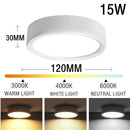 Axyaa 25W LED Downlight Ceiling Light Three Color Spotlights Large Area Lighting