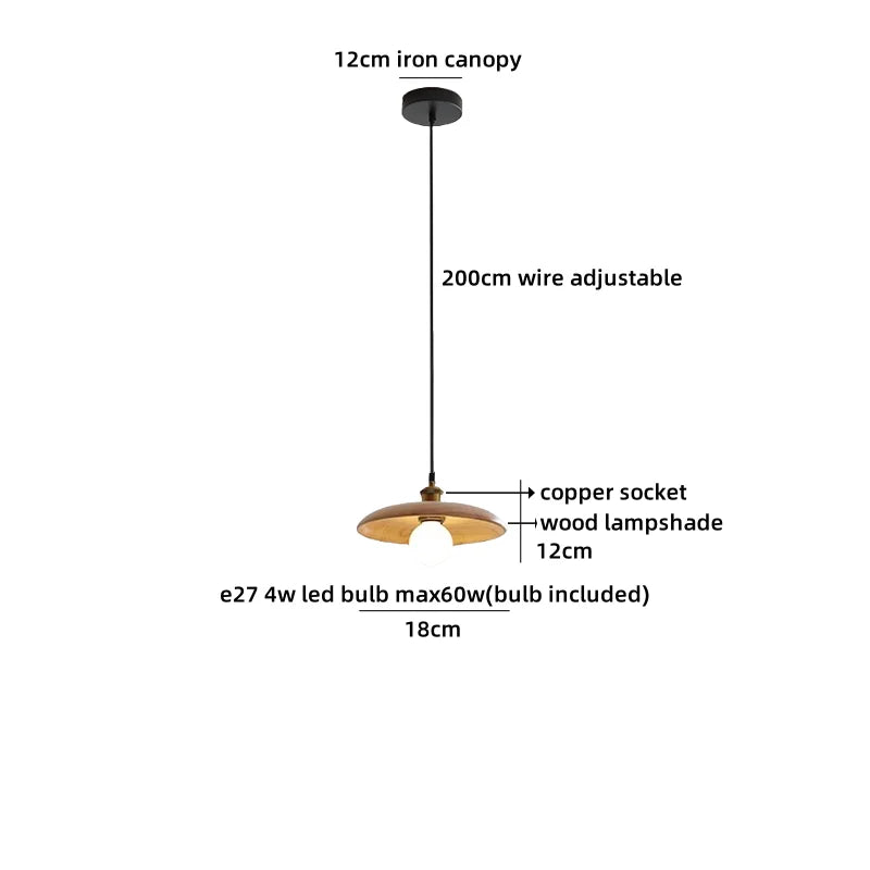 Axyaa Clear Glass LED Pendant Lamp with Copper Socket for Home Décor