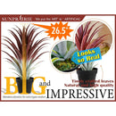 Axyaa Hyper Realistic Big Red Aloe Vera Plant 26" Tall in Matte Black Pot