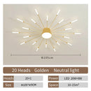 Axyaa LED Ceiling Lamp: Modern Nordic Style for Living Room, Dining, Bedroom Lighting