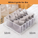 Axyaa Bra & Underwear Storage Box: Wardrobe Organizer for Panties, Socks, Clothes