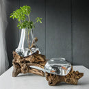 Axyaa Glass Bonsai Vase with Dead Wood Rack, Hydroponic Planting Pot for Home Decor
