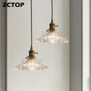Axyaa Clear Glass LED Pendant Light for Dining Room, Restaurant, Kitchen, Bedroom