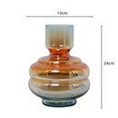 Axyaa Clear Glass Gradient Vase for Flowers & Hydroponics