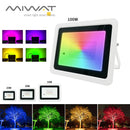 Axyaa RGB LED Flood Light 100W - 20W IP68 Waterproof Outdoor Garden Spotlight