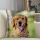 Axyaa Golden Retriever Dog Sofa Pillowcase for home decor