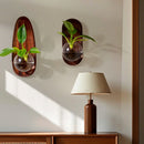 Axyaa Wall-Mounted Glass Flowerpot Vase: Home Decor Fish Tank Pendant Hydroponics Pot
