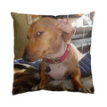 Axyaa Dachshund Dog Square Throw Pillow Cover 45cm x 45cm