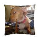 Axyaa Dachshund Dog Square Throw Pillow Cover 45cm x 45cm