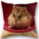 Axyaa Hamster Series Sofa Cushion Cover Pillowcase - Home Party Car Bedding